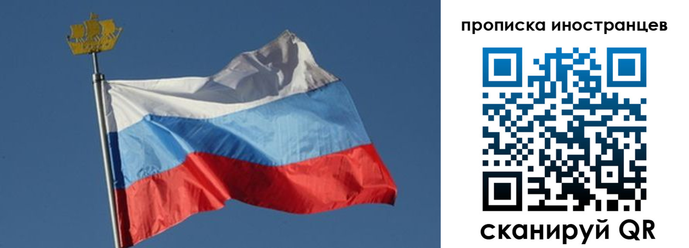 прописка поиск в Берёзовском